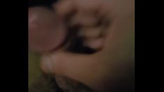চালান দুটি বাদুড় ছিঁড়ে ফেলুন