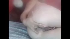 Putar Nona berambut halus dia seksi
