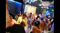 Redare Petrecere politică nemoderată înfierbântată