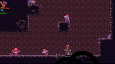 Play Kincaid and the wolf down
