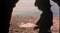 Redare Ornella muti > sun on the scrape (1971)