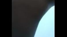 تشغيل فيد 269 ماتكي من ذوي الشعر الأملس الزائد