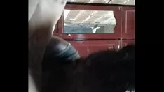 Reproduzir Submeta-se a isso deseje a um cachorro esta bruna triflech e transa com ela