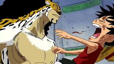 Putar Satu patch episodio 307 (sub latino)