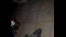 चलाएँ इस तरह हमने अच्छाई को बर्बाद कर दिया nox