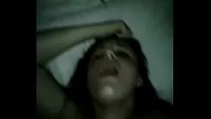 চালান গরম লেক্সি ছিদ্র