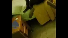 Abspielen Heilige Manina sagt: Meine Sparsamkeit fickt mich nicht mehr Thomas, du kannst flachgelegt werden