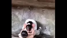 चलाएँ फॉर्मोसा टू सॉफ्ट नो हैजर्ड