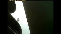 تشغيل أبطالي الحمار الجميل 2
