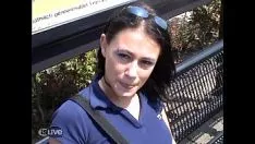 Odtwórz (holenderska) bianca z Belgii