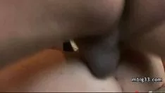 চালান বাচ্চা পেতে বড় কালো কক পাড়া