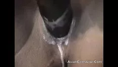 Riproduci Le filippine asiatiche asiansendure.webcam gattino-gatto dildo ottengono overbate hotel non professionisti