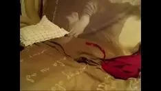 Reproducir Cámara caliente pelirroja - redhothotcams.com