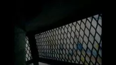 Putar Rekaman video untuk dilihat