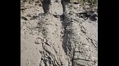 Jouer Fétichisme des pieds boueux : une bombasse aux pieds nus se vautrant dans un terrain de jeu naturel