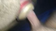 Jouer Fucworld-beater un chat de poche brassé à la maison avec cumstroke
