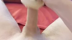 Riproduci Io e il mio gattino gommato