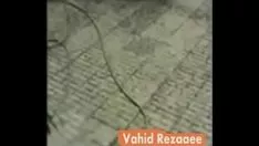 تشغيل زوج إيراني (فارسي) تخمير منزلي