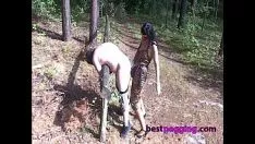 Play Severely pegging process in the wood